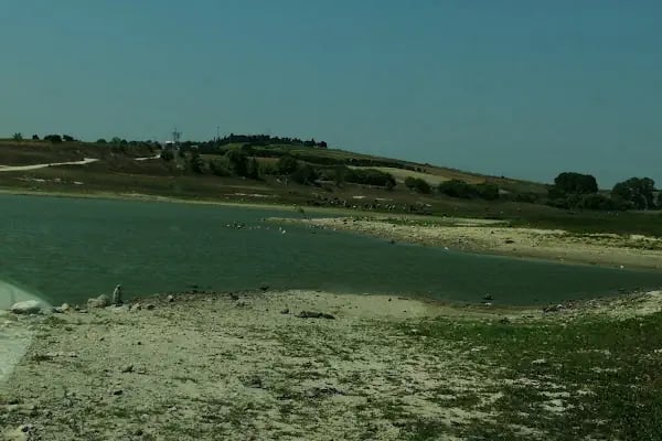 Sazlı Bosna Barajı - Resim 5