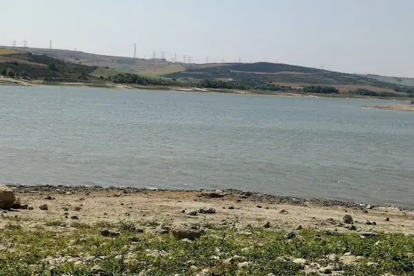 Sazlı Bosna Barajı - Resim 14