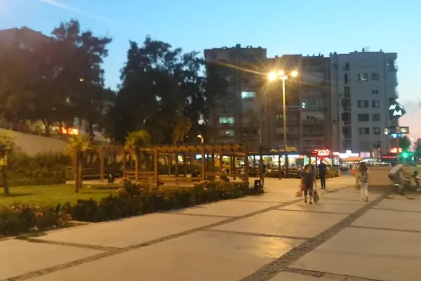 Fahrettin Altay - Resim 20