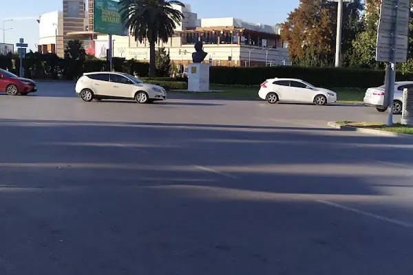 Fahrettin Altay - Resim 3
