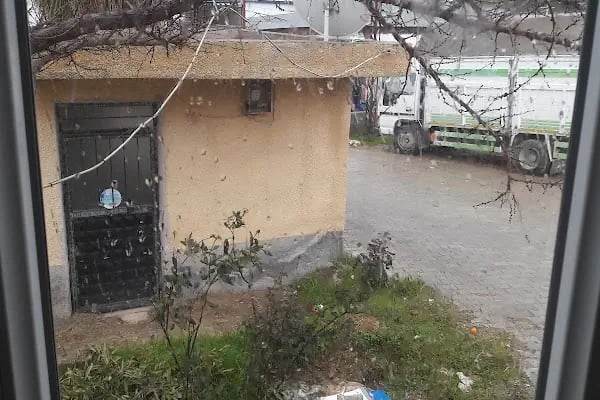 Ören Belediyesi Sebze Ve Meyve Hali - Resim 6