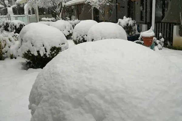 Aydınlar Narlı Evleri Tatil Köyü - Resim 14
