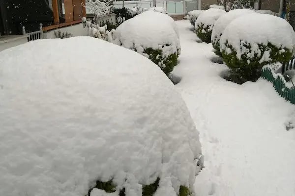 Aydınlar Narlı Evleri Tatil Köyü - Resim 4