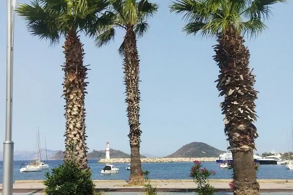 Turgutreis Fotoğraf Dünyası - Resim 8