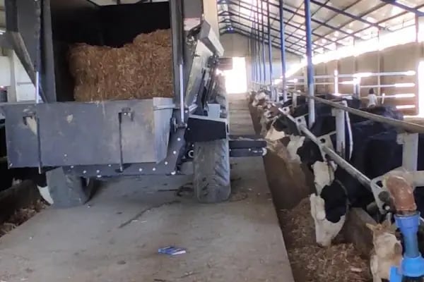 Kardeşler süt ve besi çiftliği - Resim 3