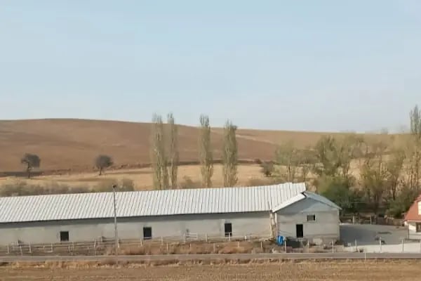 Kardeşler süt ve besi çiftliği - Resim 4