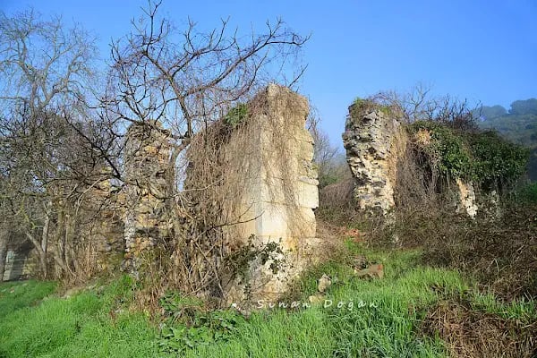 Cebeciköyü Rum Kilisesi Kalıntıları - Resim 5