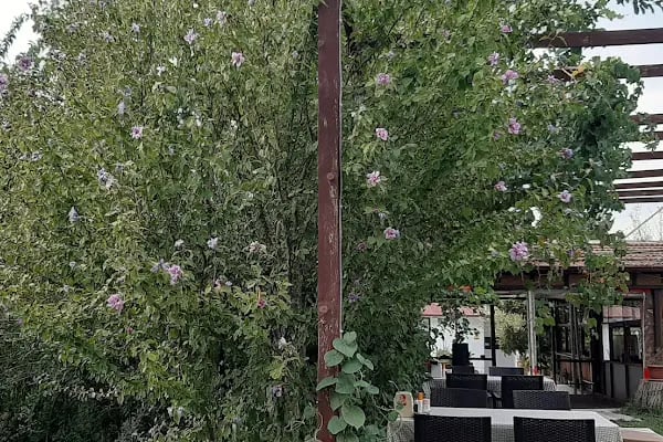 Akçay Restaurant - Resim 17