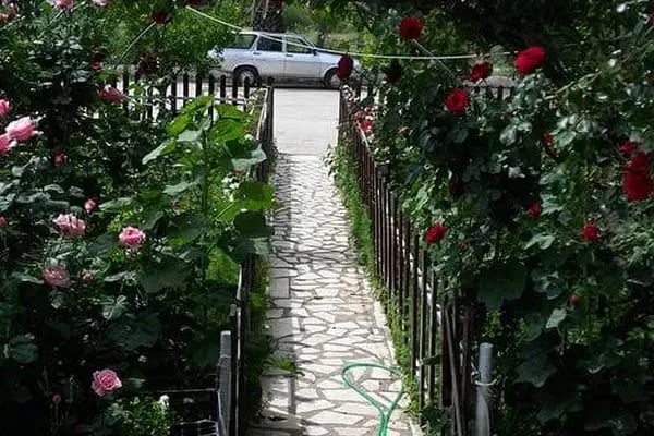 Akçay Restaurant - Resim 18