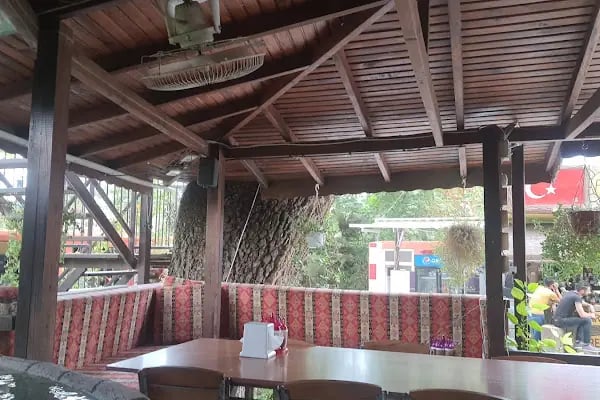 Arıkbaşı Restorant - Resim 14