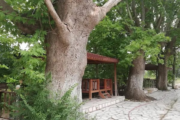 Arıkbaşı Restorant - Resim 6