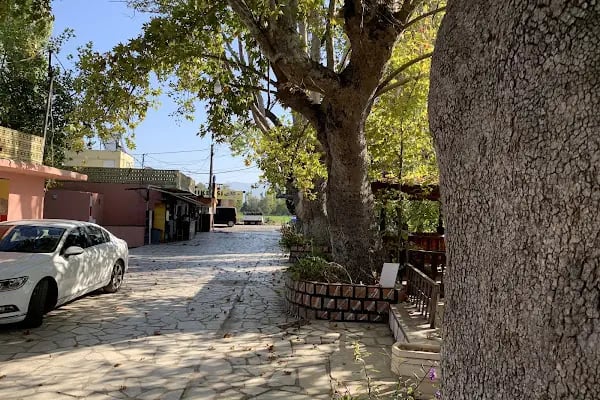 Arıkbaşı Restorant - Resim 20