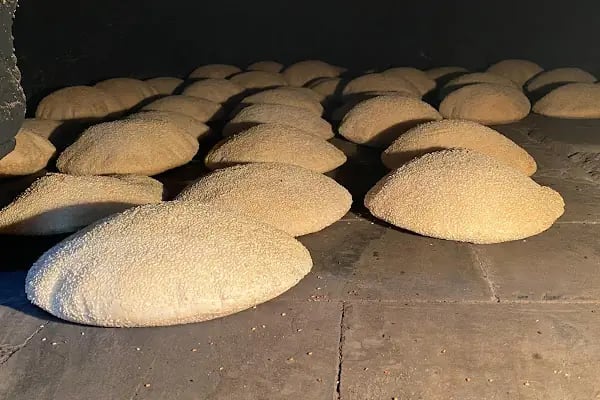 Sarıbeyler Erdil Ekmek - Resim 17