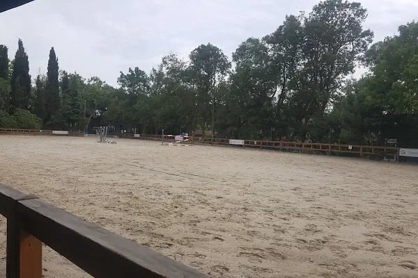 İstanbul Atlı Spor Kulübü - Resim 13