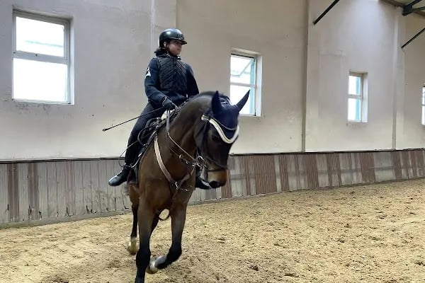 İstanbul Atlı Spor Kulübü - Resim 2
