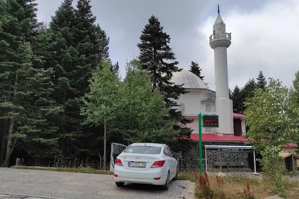 Sarıalan Kamp Alanı - Resim 17