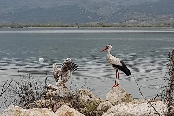 Gölyazı Antik Liman - Resim 13