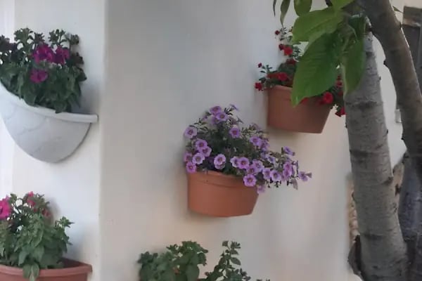 Mustafa Özbek Sitesi - Resim 17