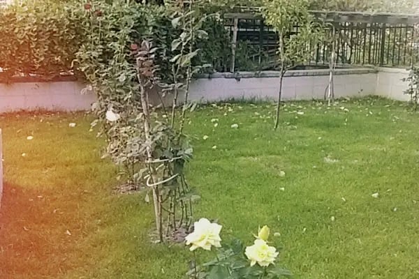Mustafa Özbek Sitesi - Resim 13