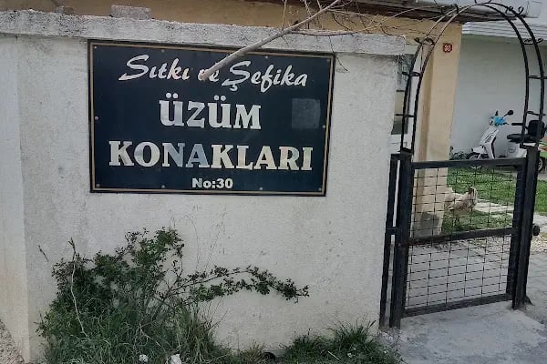 Ahmet teacher villa - Resim 11