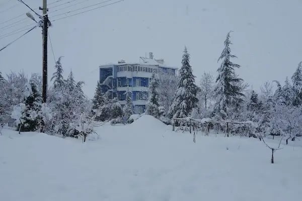 Mavi Konak Pansiyon - Resim 4
