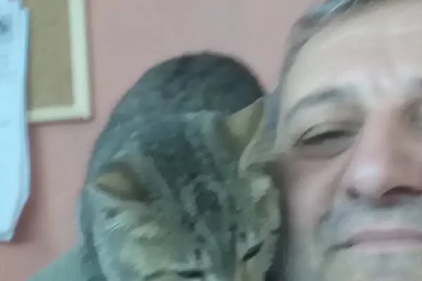 Sakaoğlu Erkek Kuaförü - Resim 5