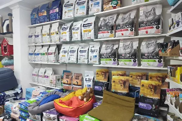ÇAĞRI PETSHOP 2 - Resim 11