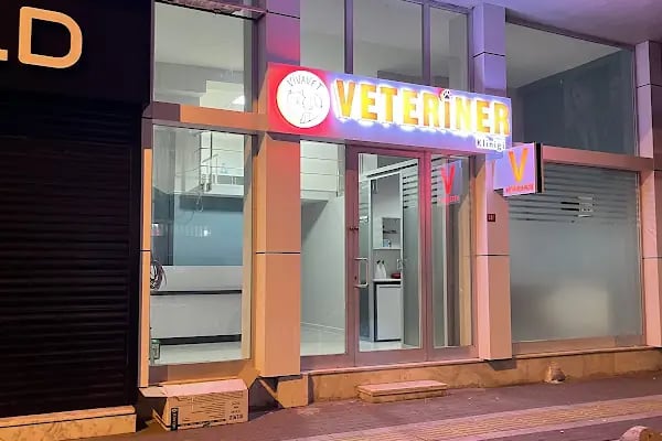 Vivavet Veteriner Kliniği | Bahçelievler - Resim 12