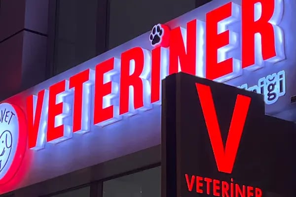 Vivavet Veteriner Kliniği | Bahçelievler - Resim 1