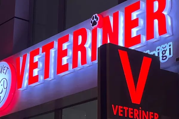 Vivavet Veteriner Kliniği | Bahçelievler - Resim 2