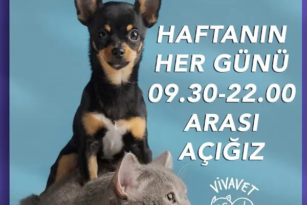 Vivavet Veteriner Kliniği | Bahçelievler - Resim 18