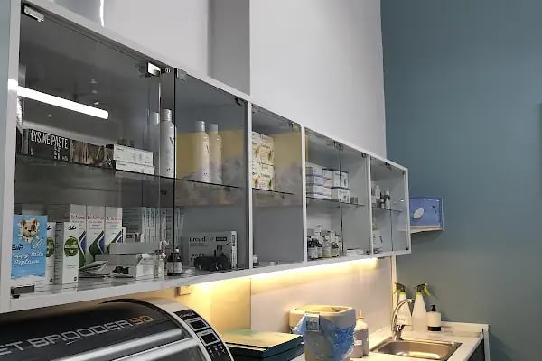Vivavet Veteriner Kliniği | Bahçelievler - Resim 14