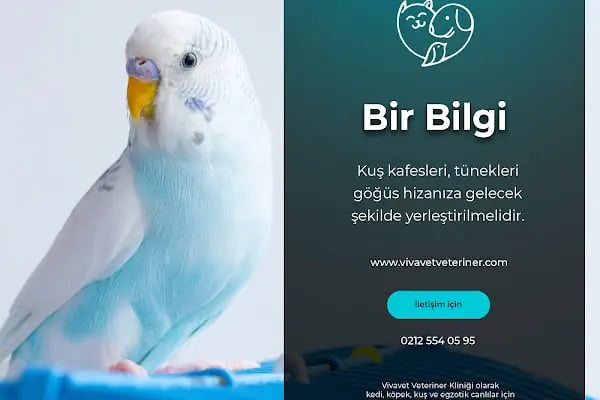 Vivavet Veteriner Kliniği | Bahçelievler - Resim 15