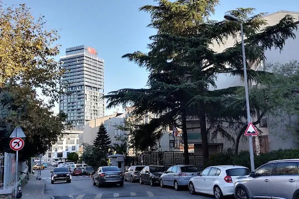 Romanya Başkonsolosluğu - Resim 11