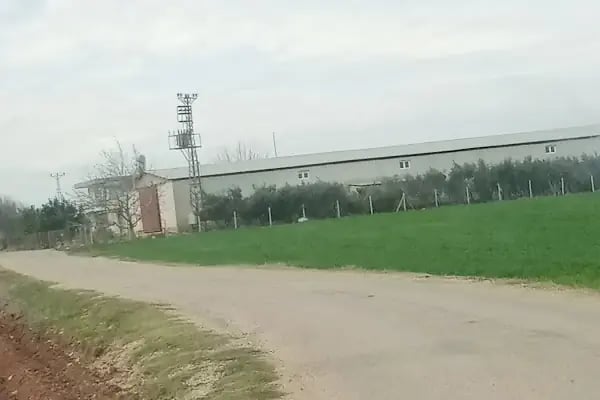 KOMOLİVA Tarım Pirina ve Bitkisel Yağ San. Tic.AŞ. - Resim 3