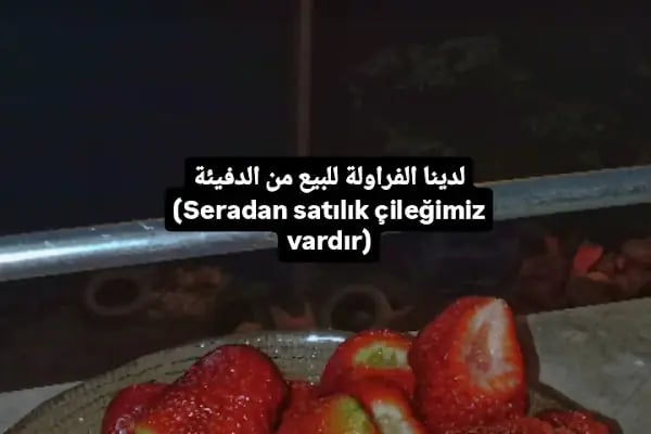 Eltilerin Yeri - Resim 6
