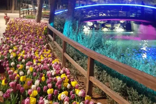 Şehitkâmil Dülükbaba Tatil Alanı - Resim 8