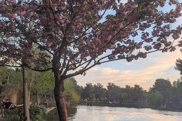 Şehitkâmil Dülükbaba Tatil Alanı - Resim 20