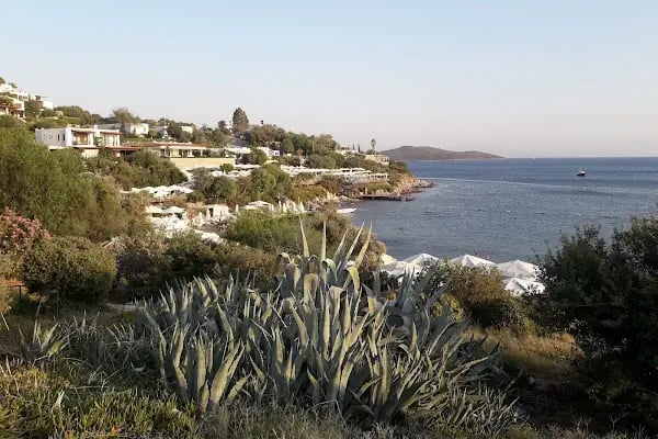 Aktur tatil sitesi ortaburun plajı - Resim 7