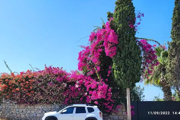Okaliptus Holiday Villas - Resim 11