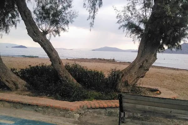 Okaliptus Holiday Villas - Resim 19