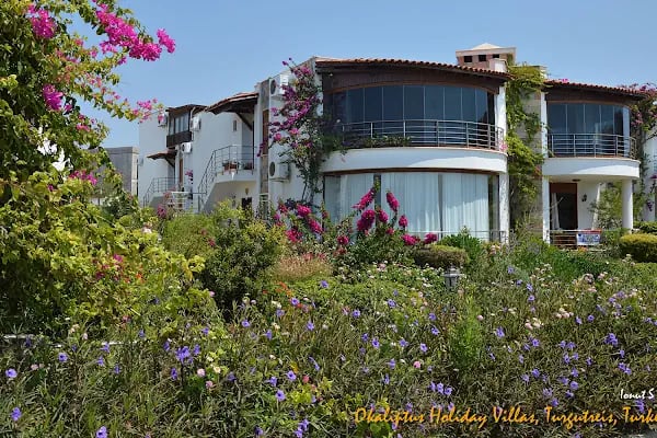 Okaliptus Holiday Villas - Resim 4