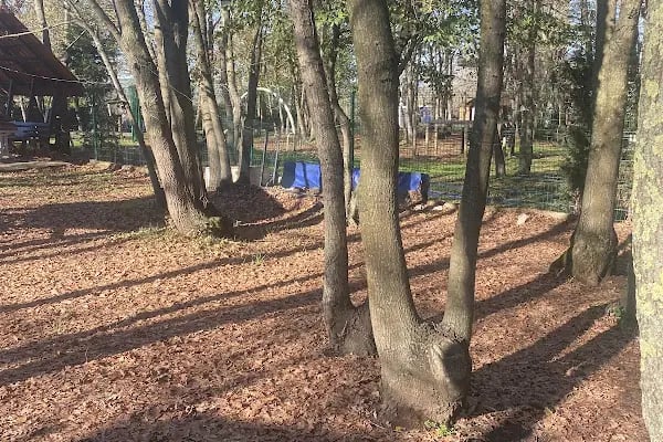 Sakarya Kent Ormanı - Resim 8