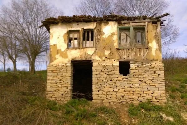 Sakarya Kent Ormanı - Resim 18