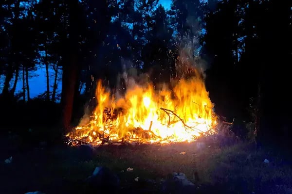 Sakarya Kent Ormanı - Resim 13