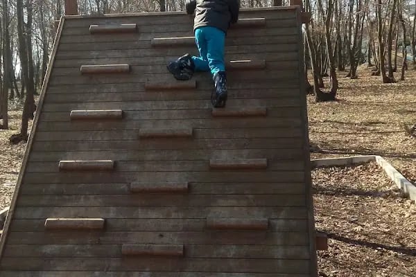 Sakarya Kent Ormanı - Resim 16