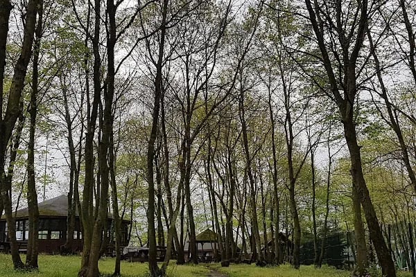 Sakarya Kent Ormanı - Resim 10