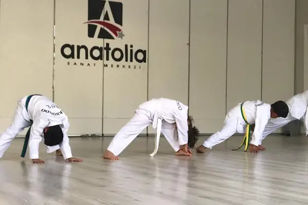 Anatolia Sanat Merkezi - Resim 8