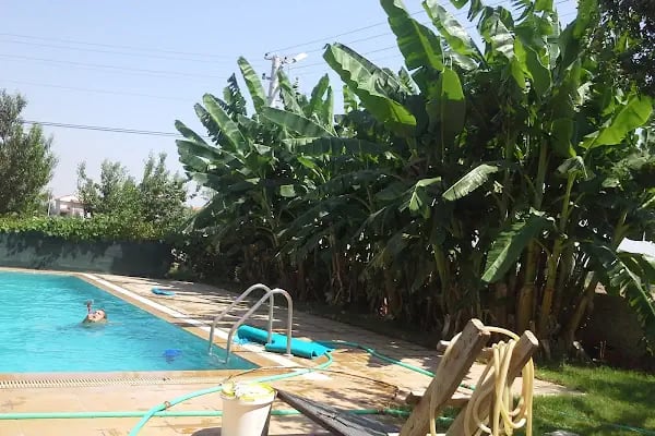 Antgül Sitesi - Resim 2