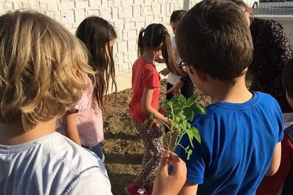 ŞEHIT NEFIZE ÇETIN ÖZSOY BILIM VE SANAT MERKEZI - Resim 6